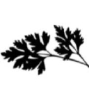 Nurtured Well logo