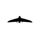 AeroAg logo
