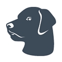 GalvinTech logo