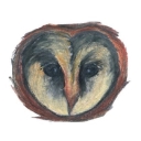 Minerva Planning Group logo
