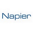 Napier B2B logo