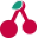CDQ logo