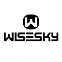 WiseSky logo