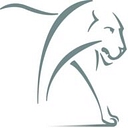 Lion Capital logo