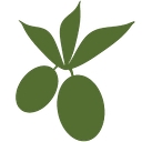 Iron Gate logo