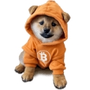 Doggo To The Moon logo