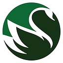 SWAN Wealth Coaching logo
