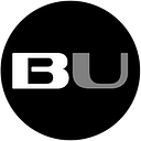 The Budio logo
