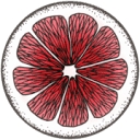 VegGirlRD logo