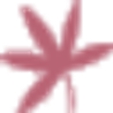 Haven of Rest DaySpa logo