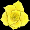 Shotwell Floral & Greenhouse logo