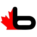 BSaunas USA logo
