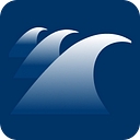 LeadSwell logo