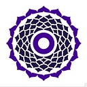 True Wealth Ventures logo