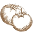 Scratch Made Southern logo