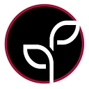 Above All Masonry (Above All Masonry Design, Inc.) logo