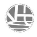 Virginia Institute of Plastic Surgery logo