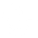 Memor Health logo