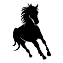 Sam Priestley logo