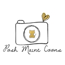 Posh Maine Coons logo
