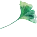 Ginger Tonic Botanicals logo