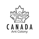 Canada Ant Colony logo