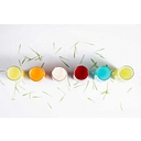 NourishMint Juice Bar logo