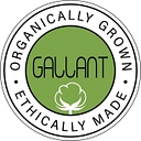 gallantintl.com favicon