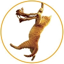 Save the Cat logo