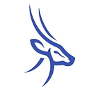 Intellek logo