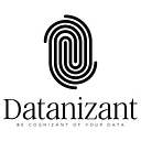 Data-Nizant logo