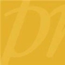Pulgini & Norton, LLP logo