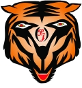Tigress Designs LLC logo